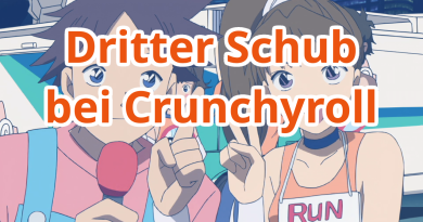 Dritter Schub