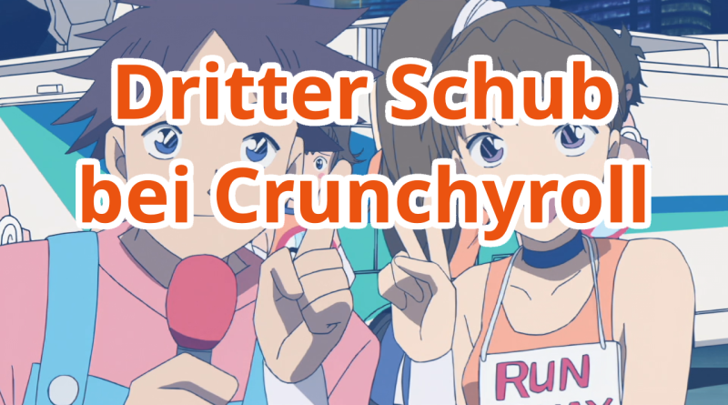 Dritter Schub